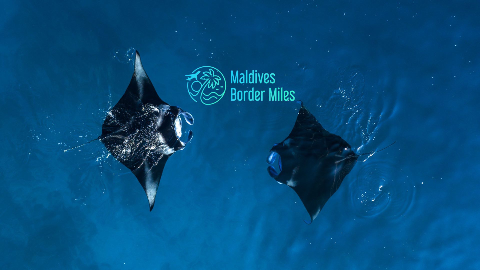 Maldives Guide