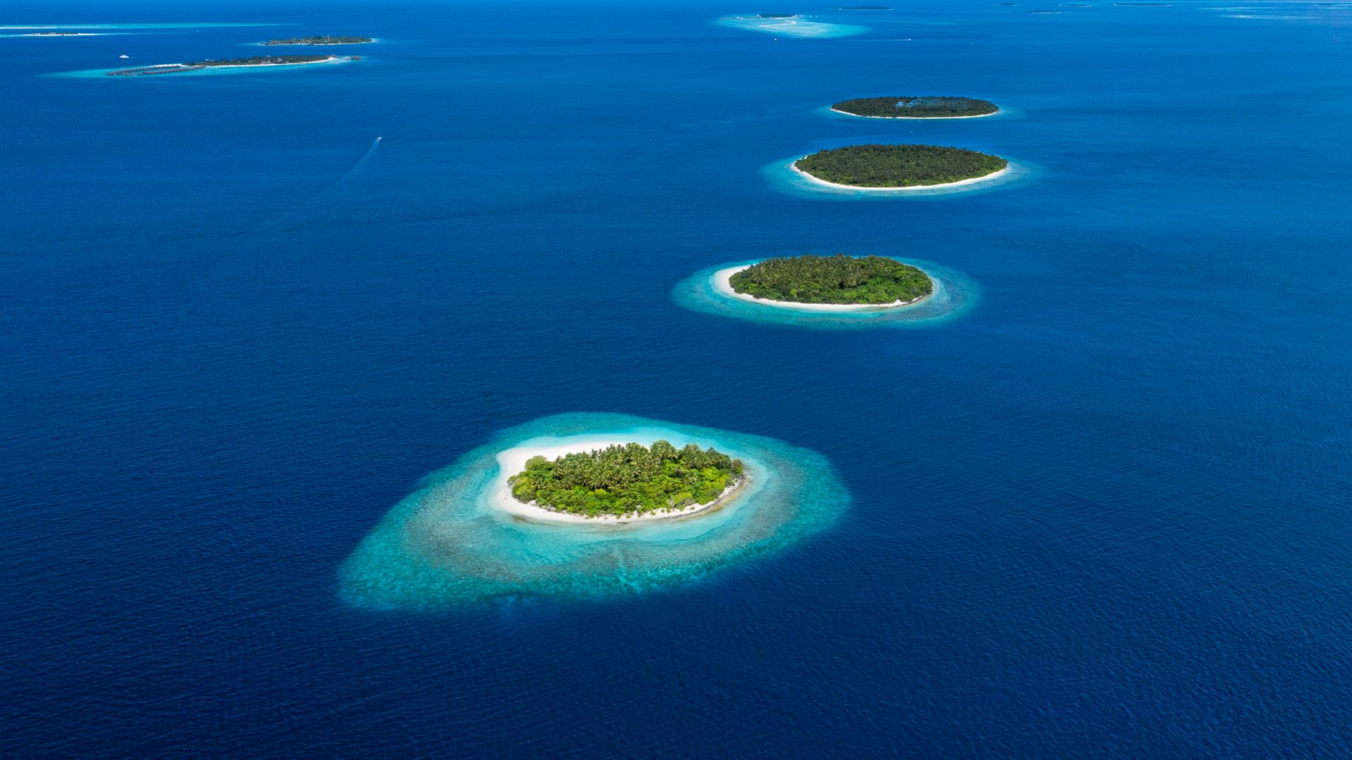 Honeymoon in Maldives