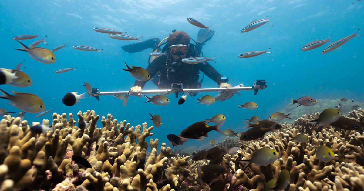 Six Senses Kanuhura launches 3D reef monitoring program, setting a new benchmark for Maldivian conservation